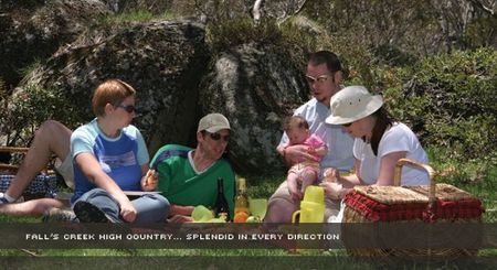Alpine View Apartments - Tourism Cairns 2