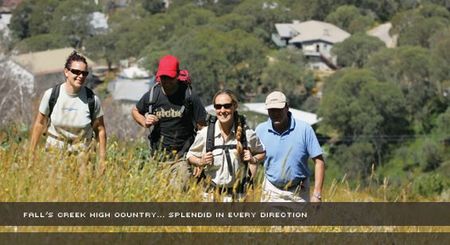 Alpine View Apartments - Tourism Cairns 3