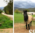 Emerald Park Holiday Farm - Tourism Cairns