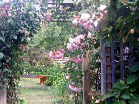 Hudspeth House Bed And Breakfast - Tourism Cairns 2