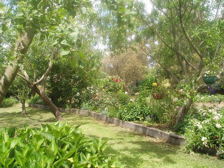 Hudspeth House Bed And Breakfast - Tourism Cairns 5