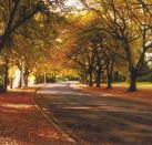 La Trobe at Beechworth - Tourism Cairns