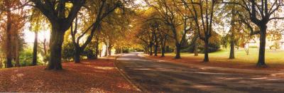 La Trobe At Beechworth - Tourism Cairns 0