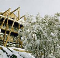 Silverski - Tourism Cairns