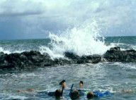 Bargara Beach Motor Inn - Tourism Cairns 0