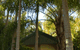 BIG4 Tropical Wanderer Resort - thumb 0