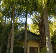 BIG4 Tropical Wanderer Resort - Tourism Cairns
