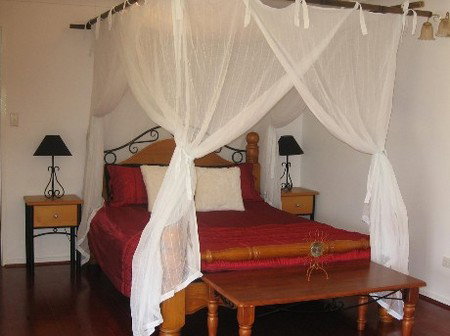 Attunga Park Country Retreat - Tourism Cairns 4