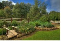 Peppermint Springs Retreat & Day Spa - Tourism Cairns 2