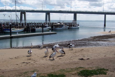 BIG4 Phillip Island Caravan Park - Tourism Cairns 5