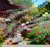 Chestnut Brook Cottage - Tourism Cairns