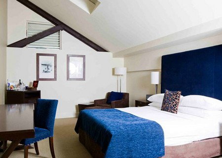 Blue Sydney - Tourism Cairns 4