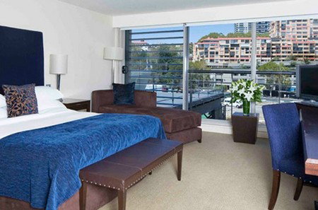 Blue Sydney - Tourism Cairns 5