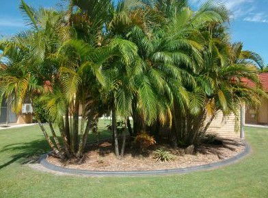 Yamba Motor Inn - Tourism Cairns 5