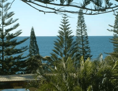 Next Seabreeze Beach Hotel - Tourism Cairns 2