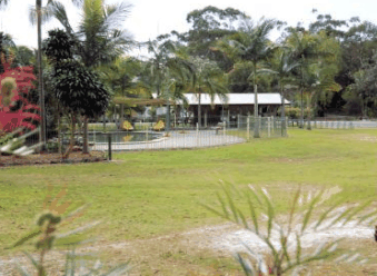 Minnie Water Holiday Park - Tourism Cairns 5
