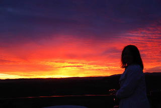 Bethany Bed & Breakfast - Tourism Cairns 1