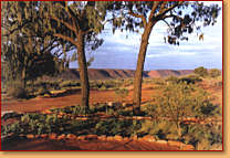 Kings Creek Station - Tourism Cairns 1