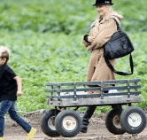 Perth City Farm Organic Markets - Tourism Cairns