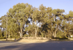 The York Residency Museum - Tourism Cairns 2