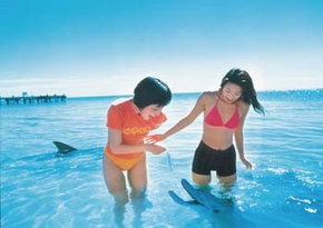  Tourism Cairns