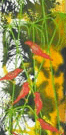 Jahroc Mill Gallery - Tourism Cairns 3