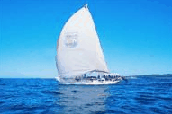 Manly Harbour Village - Tourism Cairns