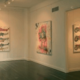 Jan Murphy Gallery - Tourism Cairns
