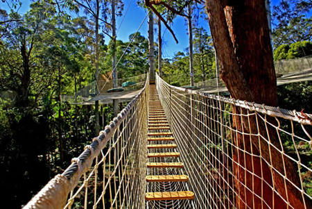  Tourism Cairns