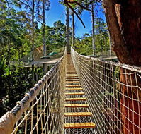 Thunderbird Park - Tourism Cairns