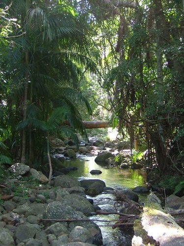Thunderbird Park - Tourism Cairns 2
