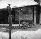 The Baldessin Press - Tourism Cairns