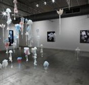 Nellie Castan Gallery - Tourism Cairns