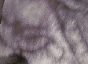 69 Smith Street - Tourism Cairns 1