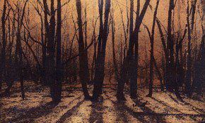 69 Smith Street - Tourism Cairns 2