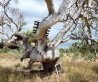 Colour Factory Gallery - Tourism Cairns 3