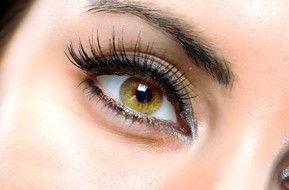 Beauty On Ryrie - Tourism Cairns 1