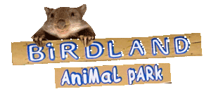 Birdland Animal Park - Tourism Cairns