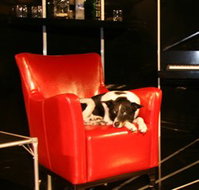 Old Fitzroy Theatre - Tourism Cairns