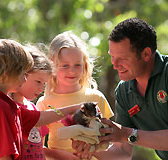 Cleland Wildlife Park - Tourism Cairns