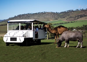 Zoo Doo Wildlife Park - Tourism Cairns 2