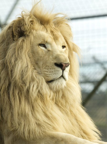 Zoo Doo Wildlife Park - Tourism Cairns 3