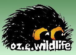 OZe Wildlife - Tourism Cairns 0