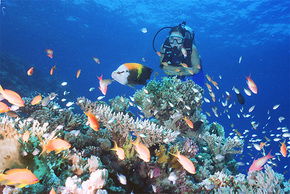  Tourism Cairns