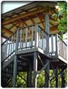  Tourism Cairns