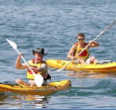 Manly Kayaks - Tourism Cairns
