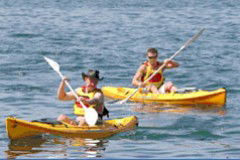 Manly Kayaks - Tourism Cairns 0