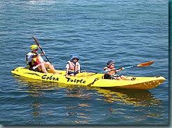 Manly Kayaks - Tourism Cairns 3