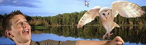 Territory Wildlife Park - Tourism Cairns 2