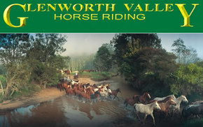 Glenworth Valley Horseriding - Tourism Cairns 0